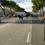 Il mercato all�aperto del quartiere Poggiofranco, un luogo che ogni sabato mattina colora dal 2013 la carreggiata centrale di viale Madre Teresa di Calcutta. La �piazza� si distende su 550 metri tra l�incrocio con via De Laurentis e quello con via Camillo Rosalba 
